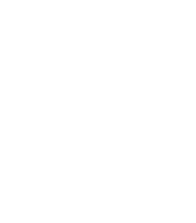 Connect Icon 1